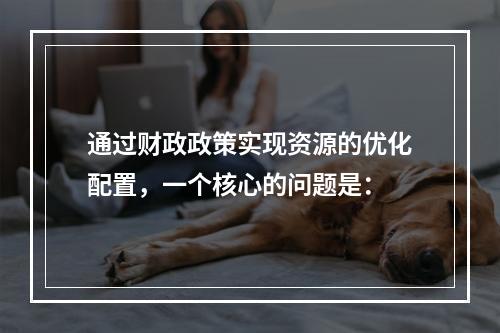 通过财政政策实现资源的优化配置，一个核心的问题是：