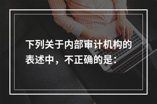 下列关于内部审计机构的表述中，不正确的是：