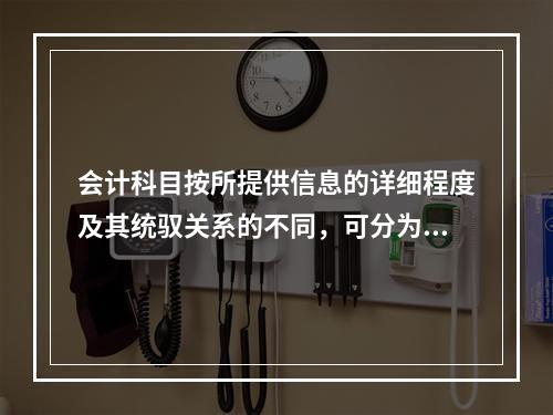 会计科目按所提供信息的详细程度及其统驭关系的不同，可分为（