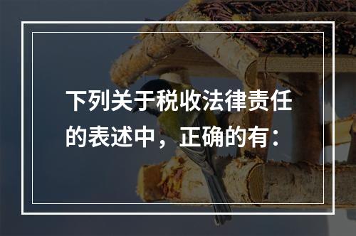 下列关于税收法律责任的表述中，正确的有：