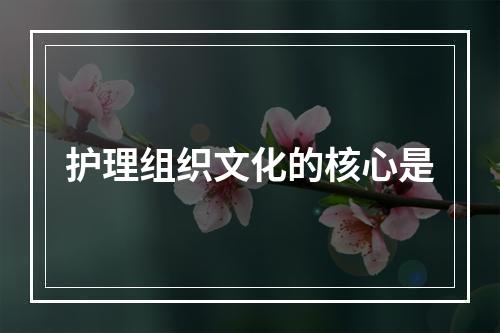 护理组织文化的核心是