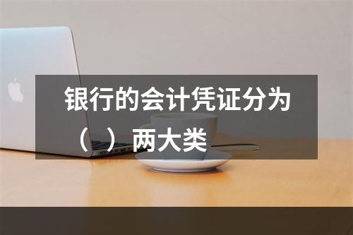 银行的会计凭证分为（   ）两大类