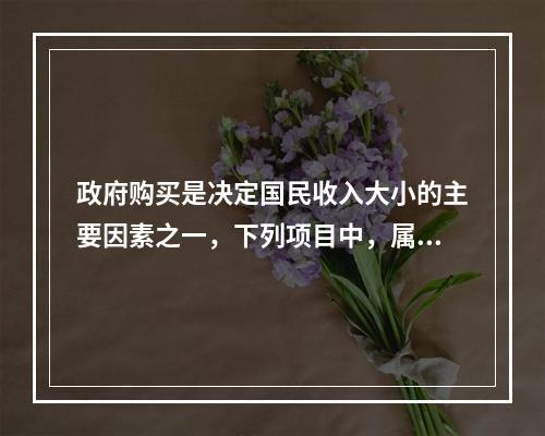 政府购买是决定国民收入大小的主要因素之一，下列项目中，属于政