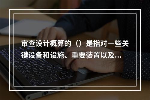 审查设计概算的（）是指对一些关键设备和设施、重要装置以及图纸