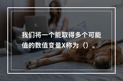 我们将一个能取得多个可能值的数值变量X称为（）。