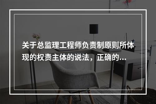 关于总监理工程师负责制原则所体现的权责主体的说法，正确的是