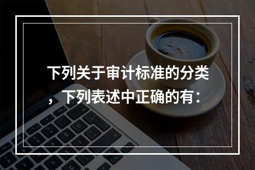 下列关于审计标准的分类，下列表述中正确的有：