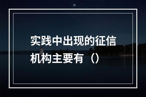 实践中出现的征信机构主要有（）