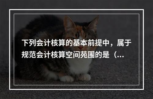 下列会计核算的基本前提中，属于规范会计核算空间苑围的是（）。