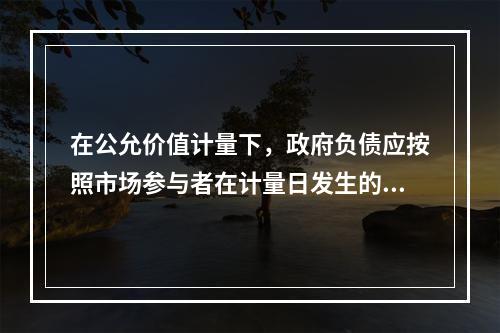 在公允价值计量下，政府负债应按照市场参与者在计量日发生的有序