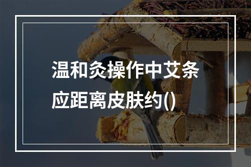 温和灸操作中艾条应距离皮肤约()