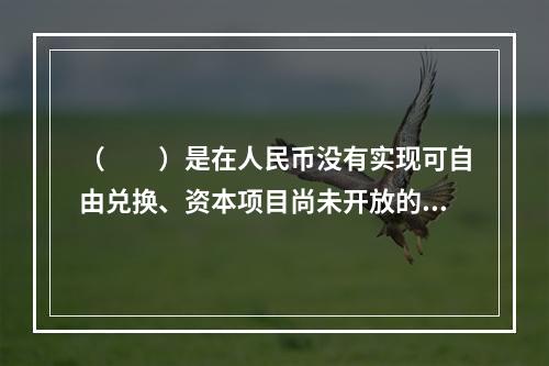 （　　）是在人民币没有实现可自由兑换、资本项目尚未开放的情况