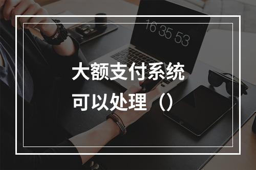 大额支付系统可以处理（）