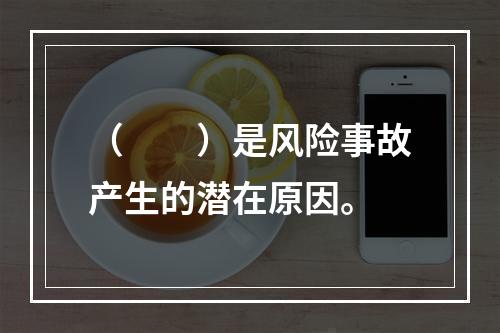 （　　）是风险事故产生的潜在原因。