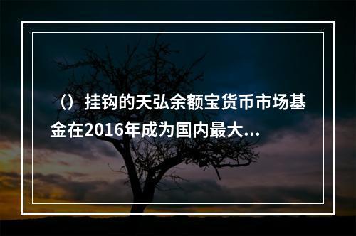 （）挂钩的天弘余额宝货币市场基金在2016年成为国内最大货币