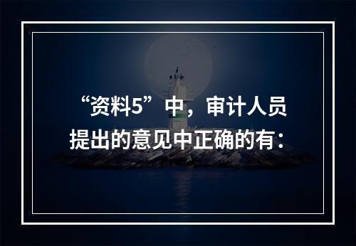 “资料5”中，审计人员提出的意见中正确的有：