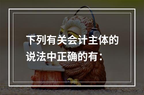 下列有关会计主体的说法中正确的有：