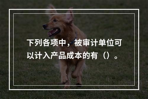 下列各项中，被审计单位可以计入产品成本的有（）。