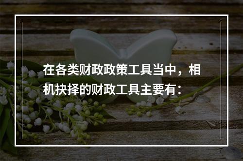 在各类财政政策工具当中，相机抉择的财政工具主要有：