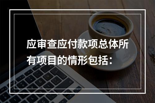 应审查应付款项总体所有项目的情形包括：