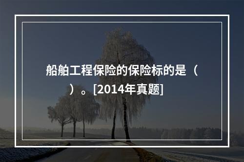 船舶工程保险的保险标的是（　　）。[2014年真题]