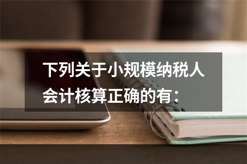 下列关于小规模纳税人会计核算正确的有：