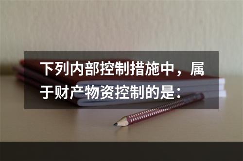 下列内部控制措施中，属于财产物资控制的是：