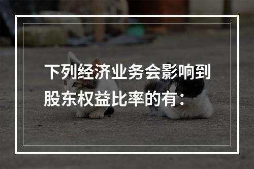 下列经济业务会影响到股东权益比率的有：