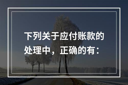 下列关于应付账款的处理中，正确的有：