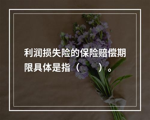 利润损失险的保险赔偿期限具体是指（　　）。