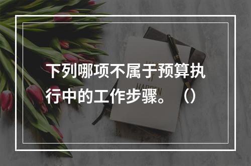 下列哪项不属于预算执行中的工作步骤。（）