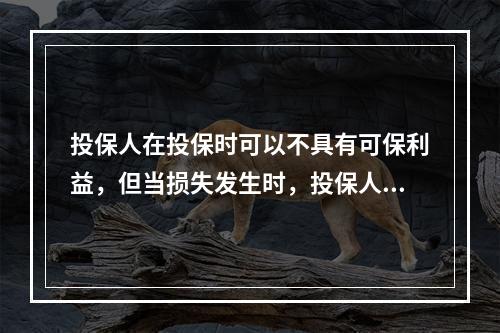 投保人在投保时可以不具有可保利益，但当损失发生时，投保人必须