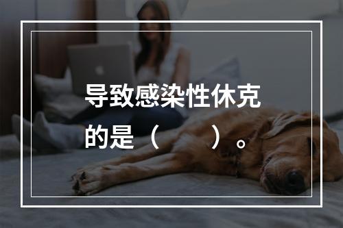 导致感染性休克的是（　　）。