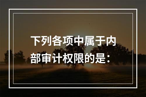 下列各项中属于内部审计权限的是：