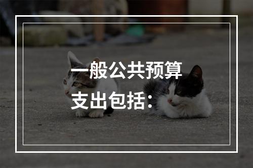 一般公共预算支出包括：