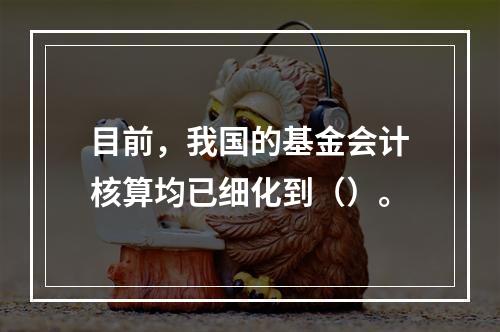 目前，我国的基金会计核算均已细化到（）。