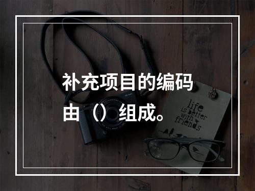 补充项目的编码由（）组成。