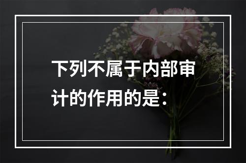 下列不属于内部审计的作用的是：