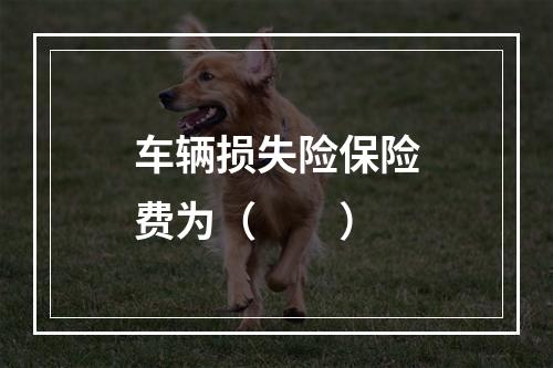 车辆损失险保险费为（　　）