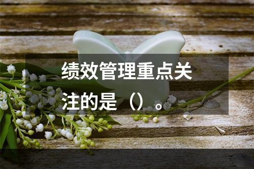 绩效管理重点关注的是（）。