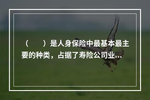 （　　）是人身保险中最基本最主要的种类，占据了寿险公司业务量