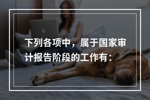 下列各项中，属于国家审计报告阶段的工作有：