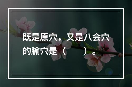 既是原穴，又是八会穴的腧穴是（　　）。