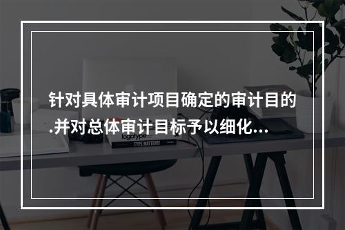 针对具体审计项目确定的审计目的.并对总体审计目标予以细化的是