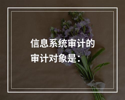 信息系统审计的审计对象是：