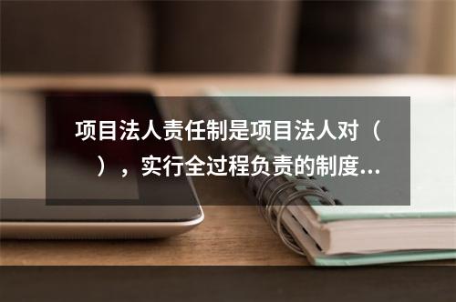 项目法人责任制是项目法人对（　　），实行全过程负责的制度。