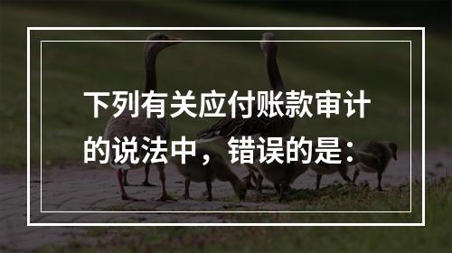 下列有关应付账款审计的说法中，错误的是：