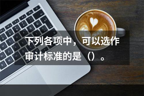 下列各项中，可以选作审计标准的是（）。