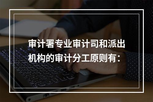 审计署专业审计司和派出机构的审计分工原则有：