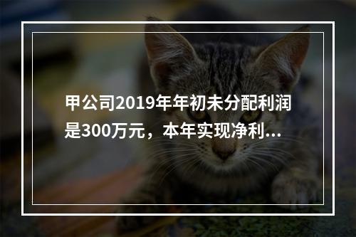 甲公司2019年年初未分配利润是300万元，本年实现净利润5